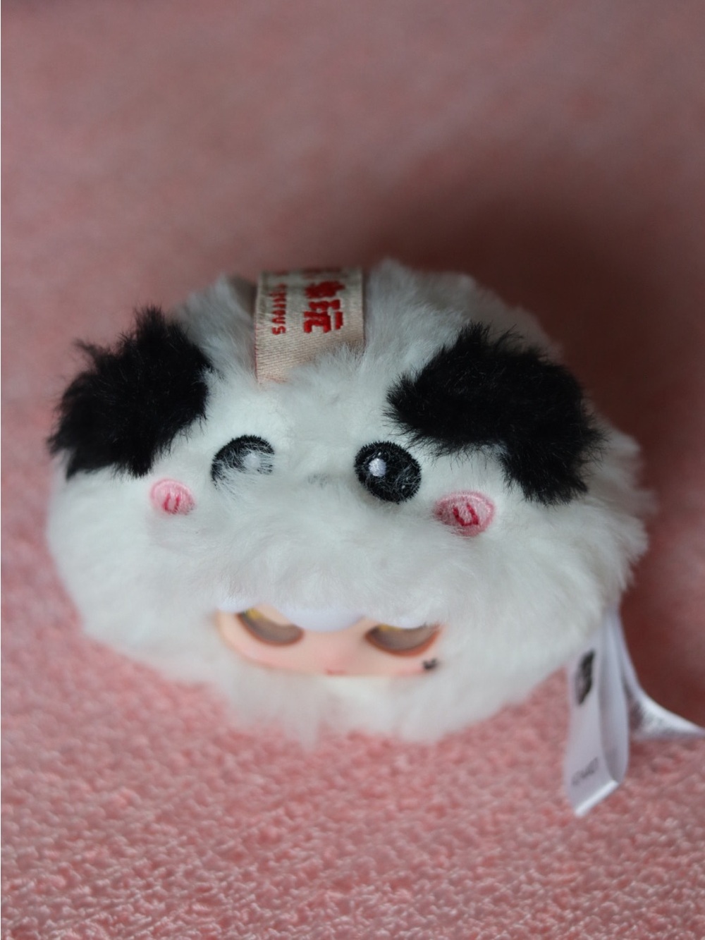 KIMIPAPA - Picture 3 of 7